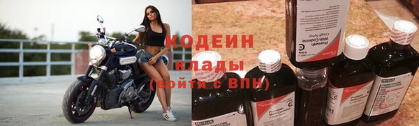 мяу мяу мука Алзамай