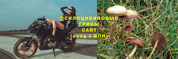 гашик Абинск