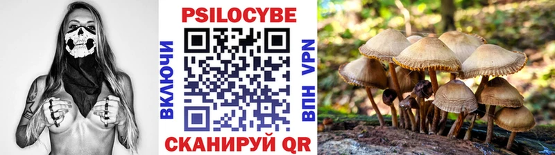 купить закладку  Азов  Псилоцибиновые грибы Magic Shrooms 